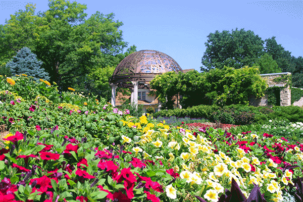 Sggarden